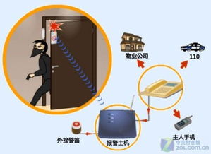 2010年家用监控摄像头与网络设备零售市场分析